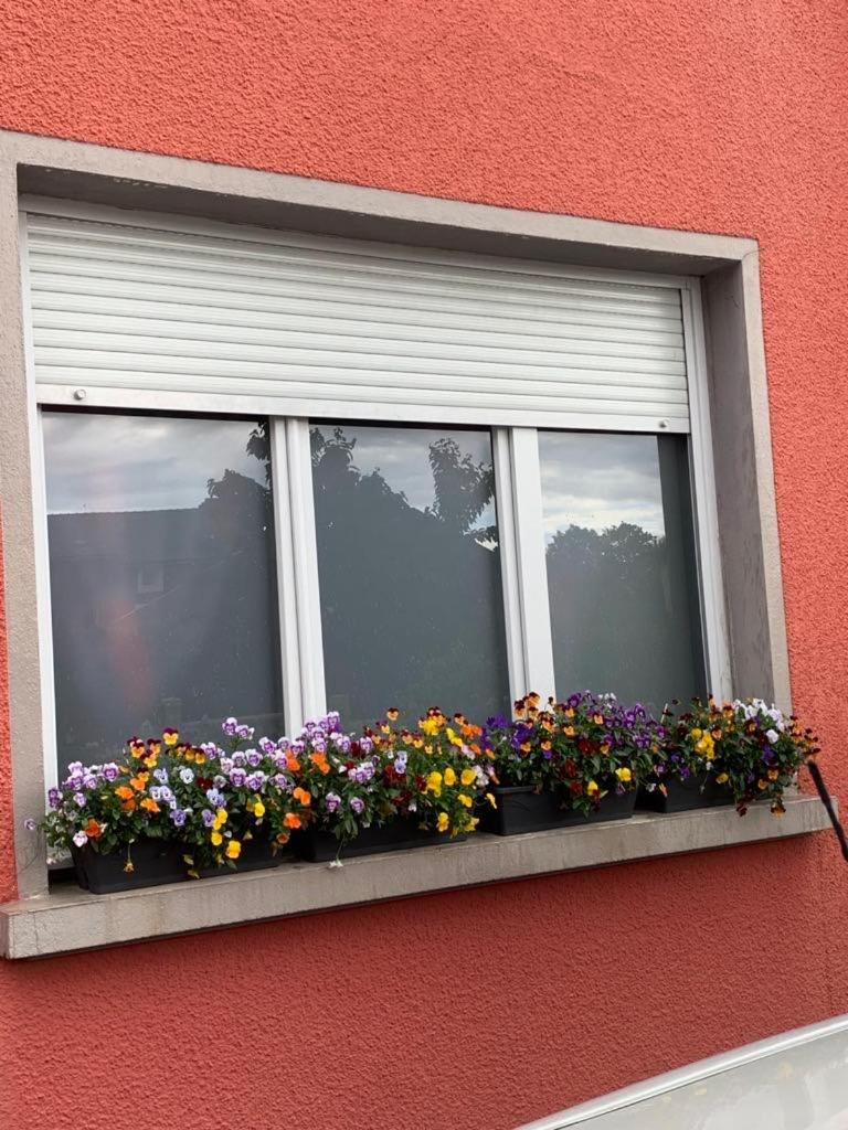 דירות לונווי Couleur Framboise מראה חיצוני תמונה